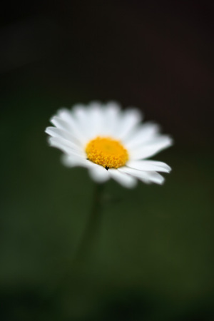 35mmL_ext.jpg