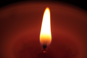 macro_test.jpg