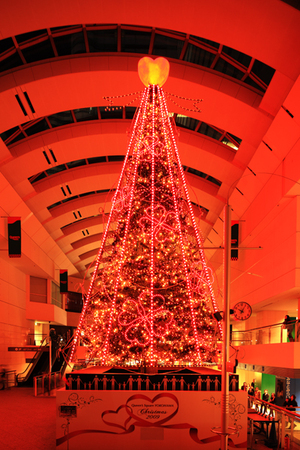 xmas_tree.jpg