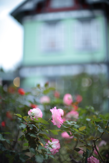 IMG_4422s.JPG
