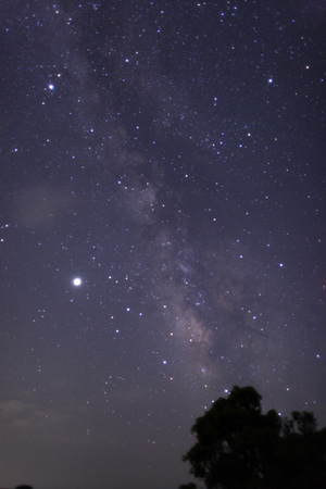 20080531-1.jpg