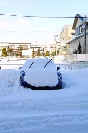 大雪じゃぁ…