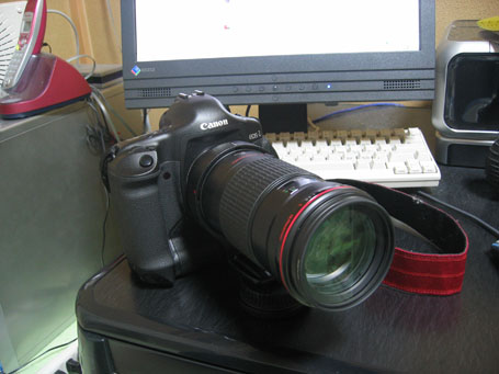 EOS-1D MarkII + EF 180mm F3.5L Macro