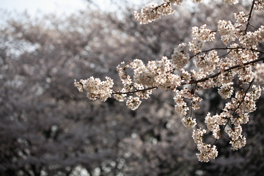 その2