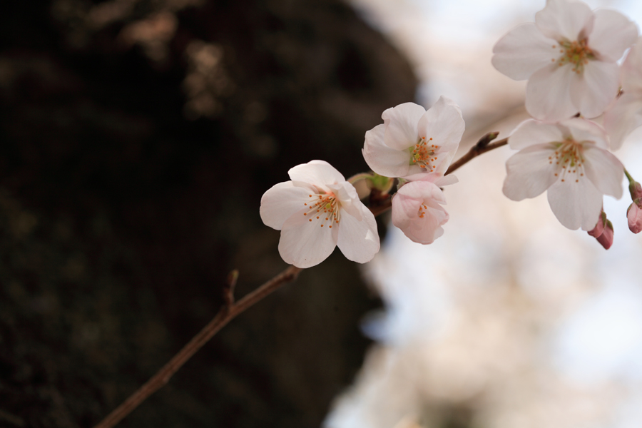 その3
