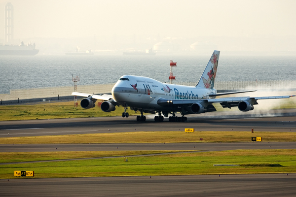 500mm F4試写(3)