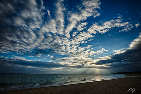kohamajima_20151213_HDR.jpg