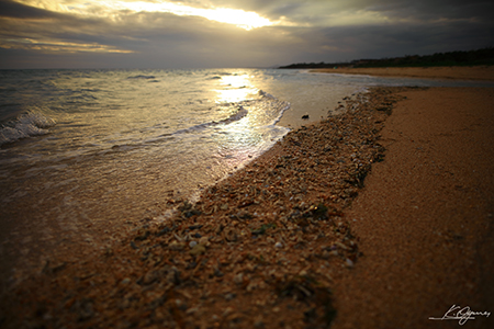 kohamajima_20151213.jpg