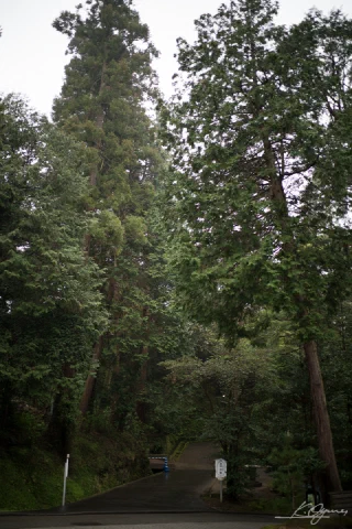 Kitakamakura
